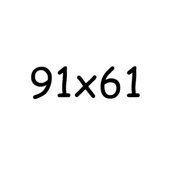 91X61